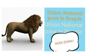  Union National pour le Peuple UNP (UNP)