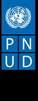  Programme des Nations Unis pour le Développement (PNUD)